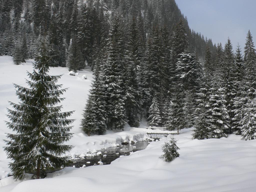 Arnica Montana Arieşeni Exterior foto