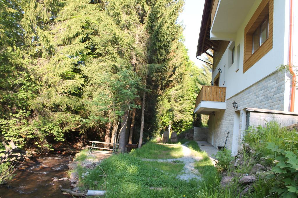 Arnica Montana Arieşeni Exterior foto
