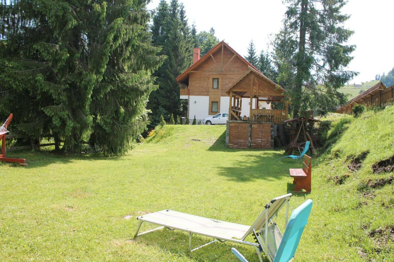 Arnica Montana Arieşeni Exterior foto