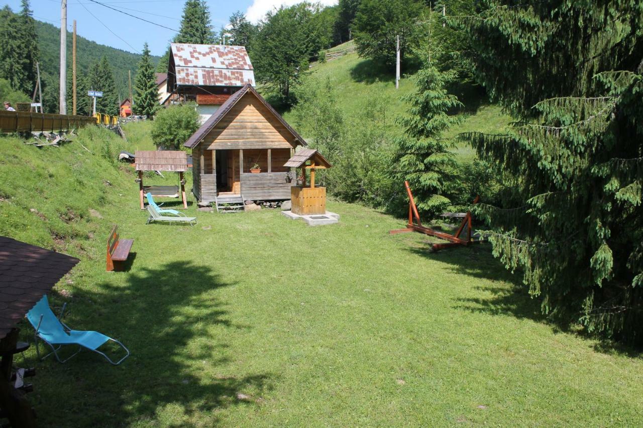 Arnica Montana Arieşeni Exterior foto