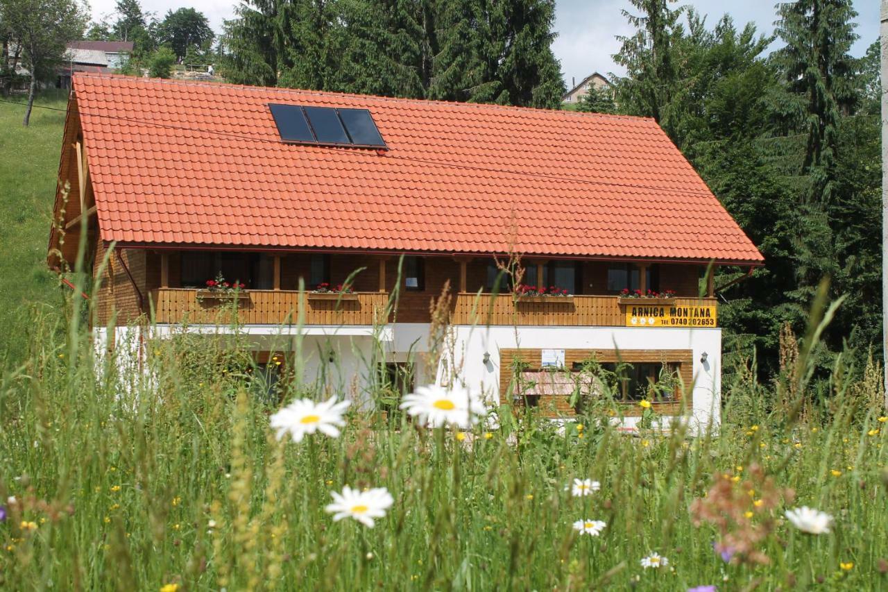 Arnica Montana Arieşeni Exterior foto