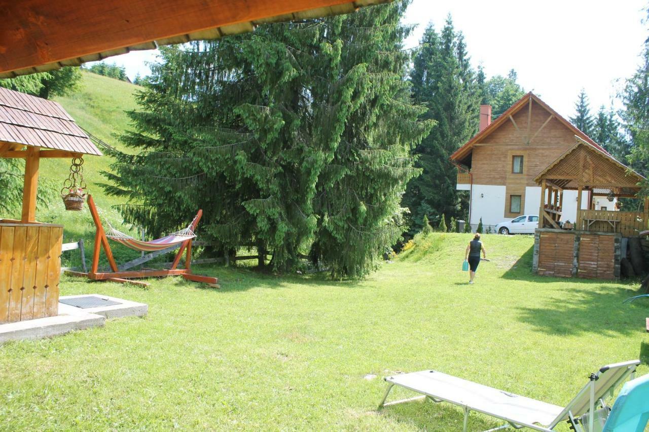 Arnica Montana Arieşeni Exterior foto