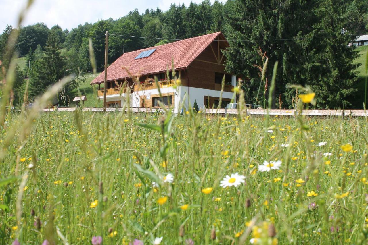 Arnica Montana Arieşeni Exterior foto