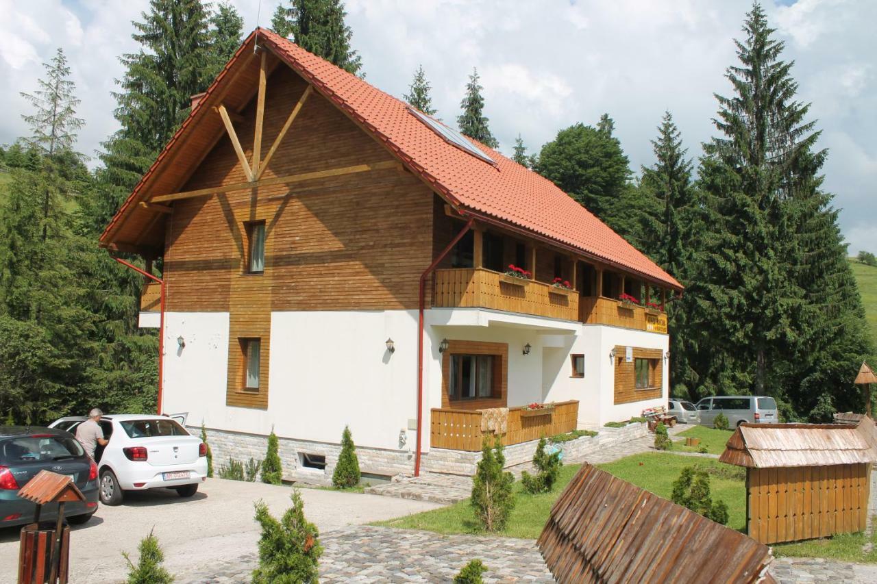 Arnica Montana Arieşeni Exterior foto