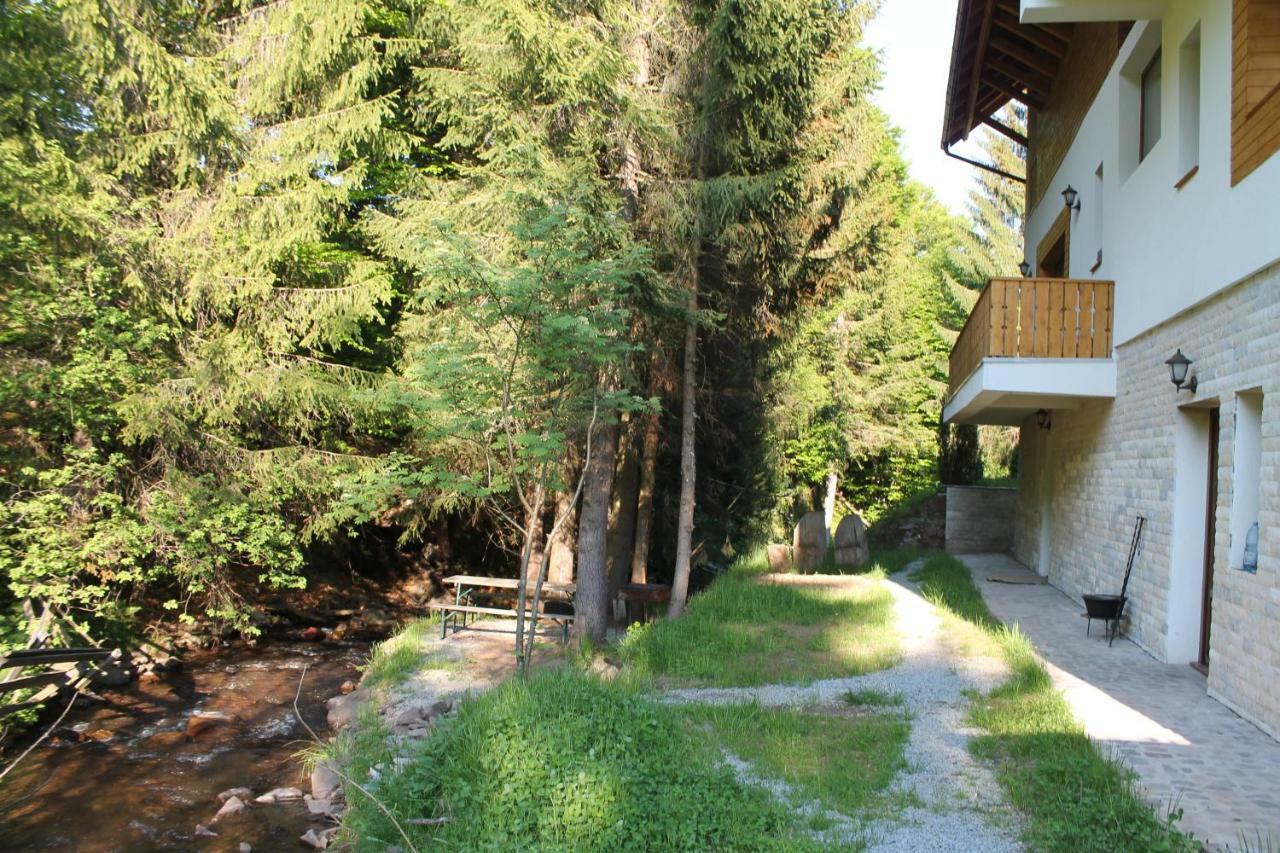 Arnica Montana Arieşeni Exterior foto