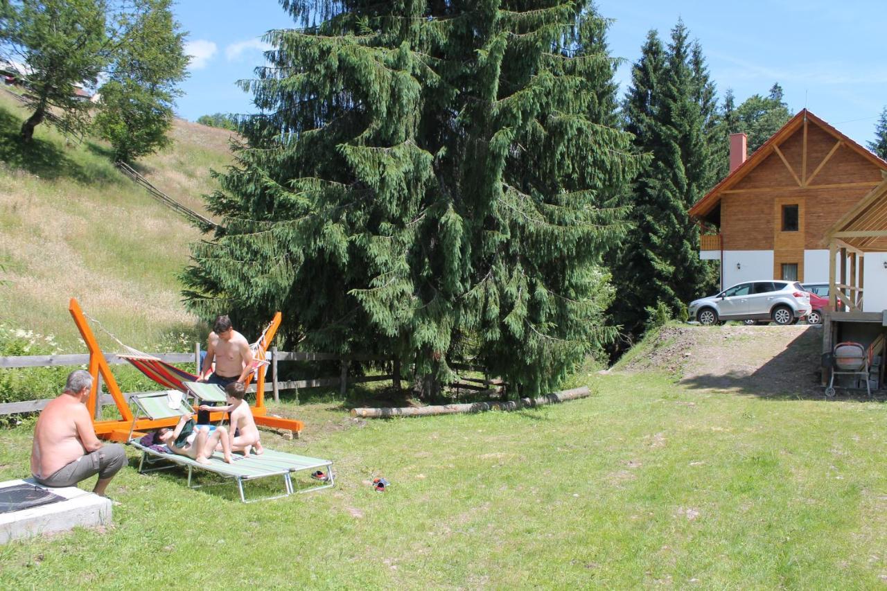 Arnica Montana Arieşeni Exterior foto