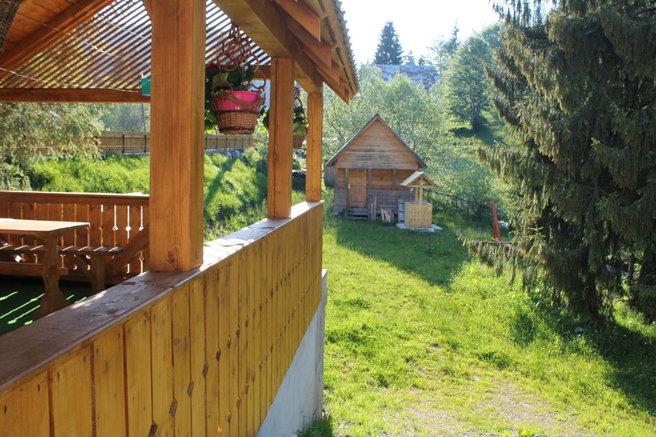 Arnica Montana Arieşeni Exterior foto